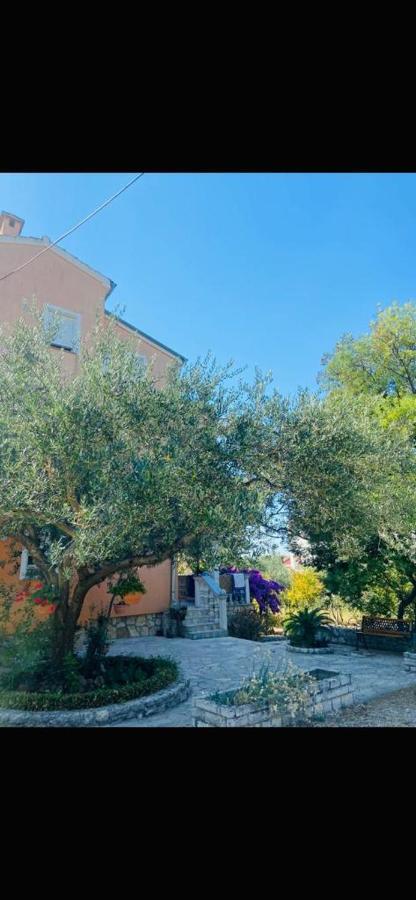 Apartman Nauplie Zadar Ngoại thất bức ảnh